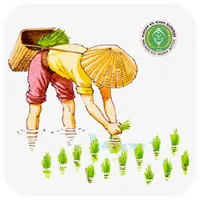 আধুনিক ধানের পরিচর্যা - Modern icon
