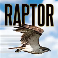 McLeod RAPTOR icon