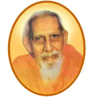 mmdgst icon