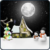 Winter Night 3D Pro icon