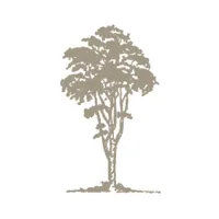 RSFGC icon