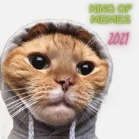 King of memes ! icon