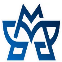 Memory WS icon