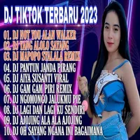 DJ Not You Alan Walker 2023 icon