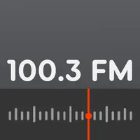 Rádio Maanaim FM 100.3 icon