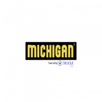 Michigan icon