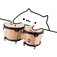 Bongo Cat icon