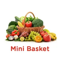 Mini Basket icon