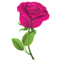 Pegatinas de Rosas WASticker icon