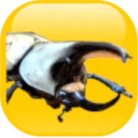 Puzzles and beetles icon