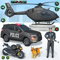 Police Plane Transporter Game icon