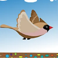 Amazing Bird icon