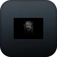 black wallpaper (4k) icon