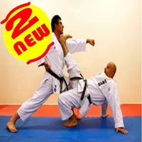 Shotokan Karate icon
