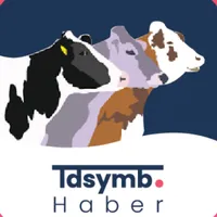 TDSYMB Haber icon