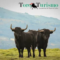 Ganaderías de Toros de Lidia icon