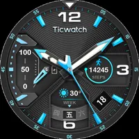 TicWatch Iron Soldier icon