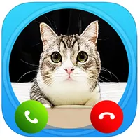 Cat Mochimaru fake call video icon