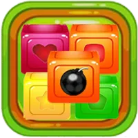 Monkey Puzzle icon