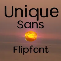 BRUniqueSans™ Latin Flipfont icon