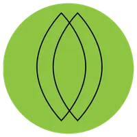 Argan oil icon