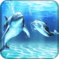 Dolphins Live Wallpaper icon