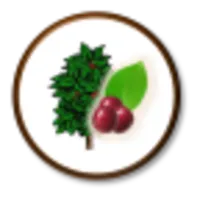 AppVEFcafe icon