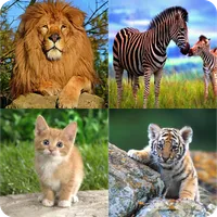 تعلم اسماء الحيوانات icon
