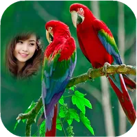 Parrot Photo Frames HD icon