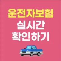 운전자보험 다이렉트 비교사이트 가격비교견적 보장내용 icon