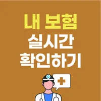 내보험확인 내보험찾아줌 보험조회 내보험찾기 내보험조회 icon