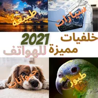 kalfiaty zoone - خلفياتي زون icon