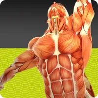 Muscle Tests 2 icon