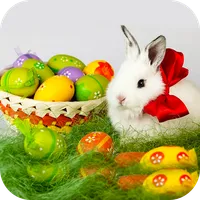 Easter Bunny Live Wallpaper HD icon