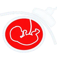 Pregnancy Age Calculator icon