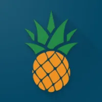 Pineapple HRM icon