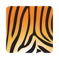 Asset Tiger icon