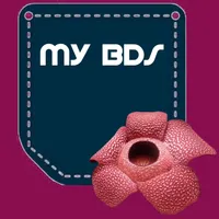 My BDS icon