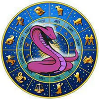 Kaal Sarp Dosh icon