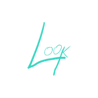 LookFor icon