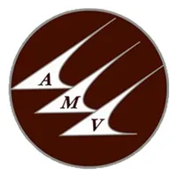 AMV Connect icon