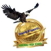 Nabumali High School icon