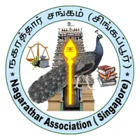 NAS icon