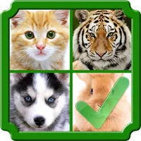 Guess 4 Pics 1 Wrong icon