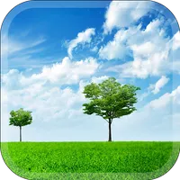Nature Vibe Wallpaper icon