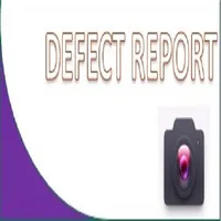 Defect Report icon