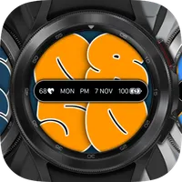 nbWatch: BigTime Lite icon