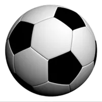 Soccer LiveScores icon