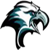 Eagle Painting icon