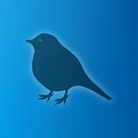 NewsChat icon